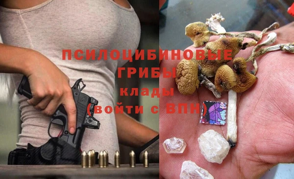 ECSTASY Коряжма